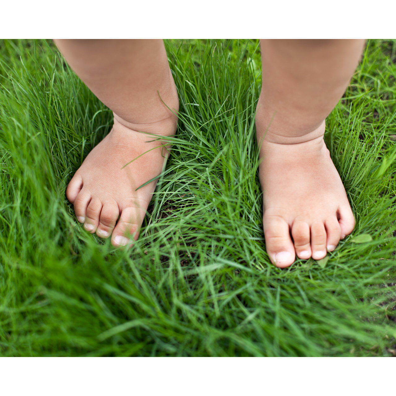 landing-detail-image